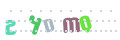 CAPTCHA 2