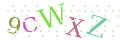 CAPTCHA 2