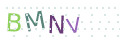 CAPTCHA 2