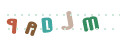 CAPTCHA 5